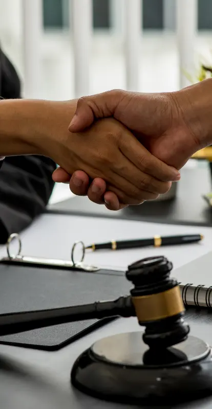 Servicios de Justo Proceso